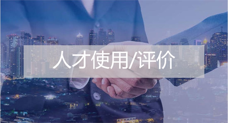 人才使用/評(píng)價(jià) 人才使用/評(píng)價(jià)